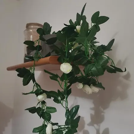 Angolo Di Eden *